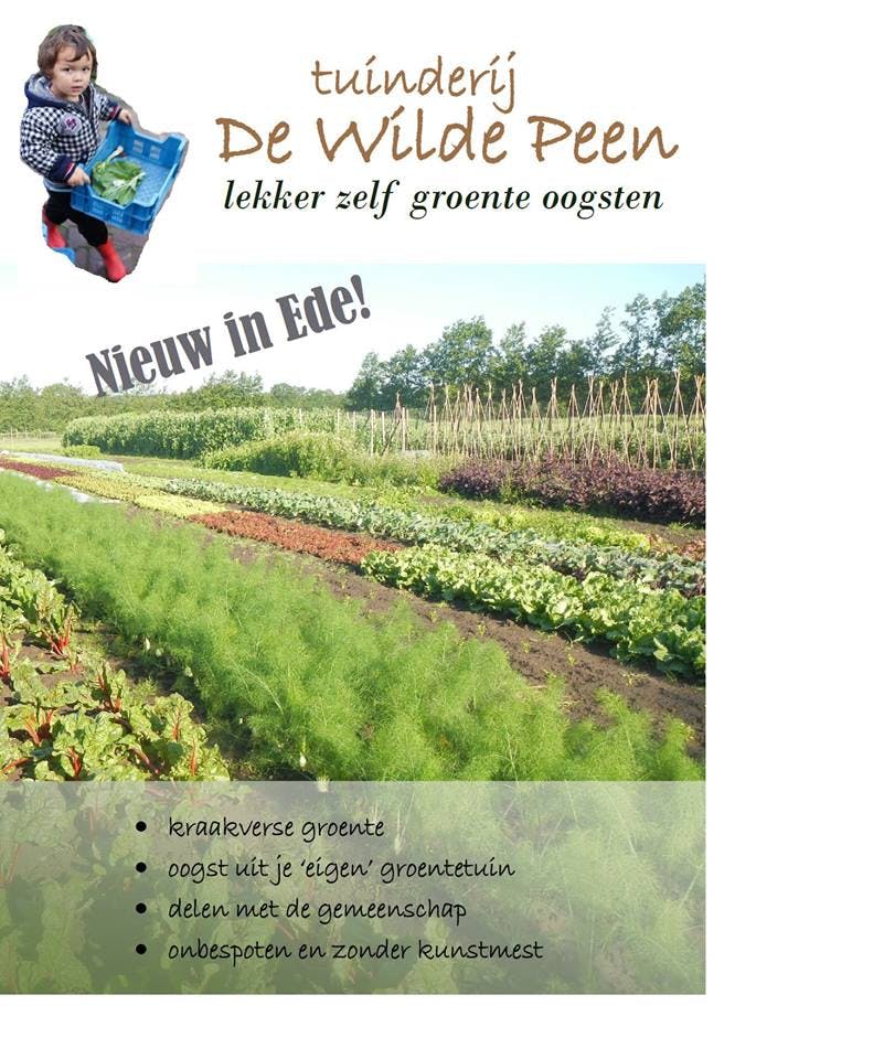 Informatieavond tuinderij de Wilde Peen  