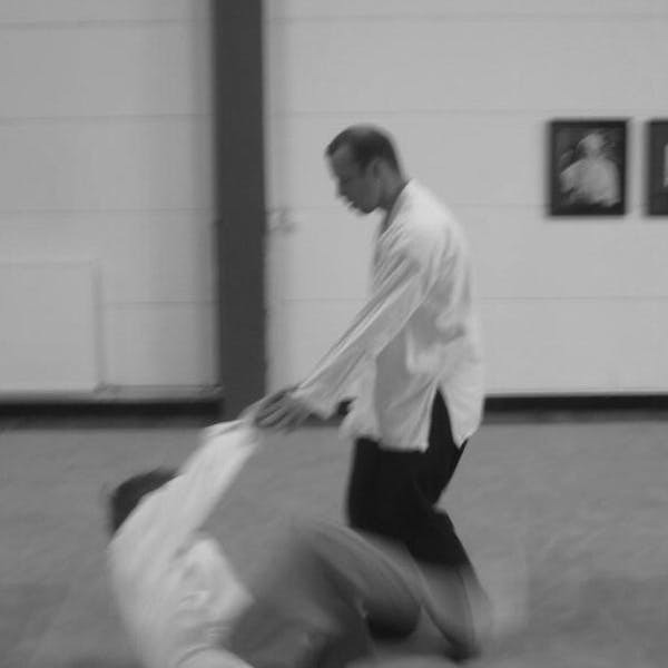 Art of Effortless Power (gratis proefmaand)