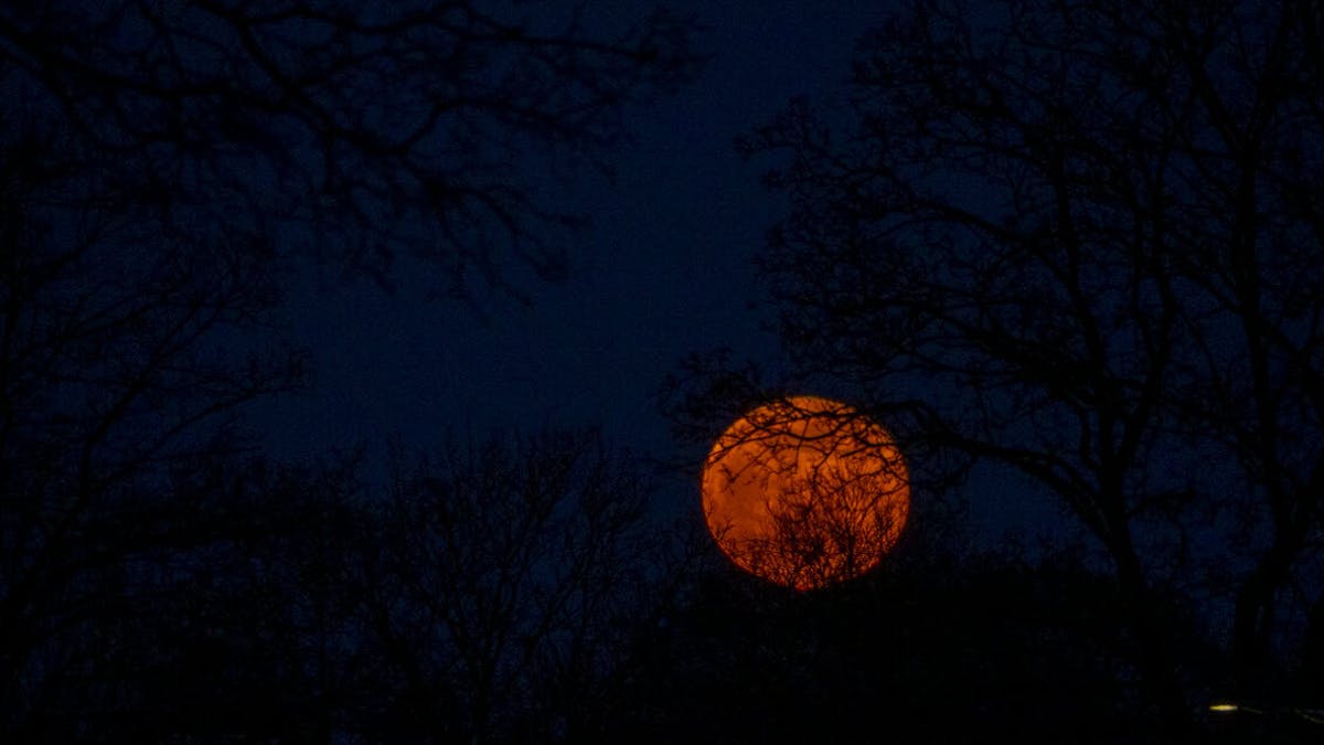 de maan mooi te zien! in berichten op BuurtMaken.nl