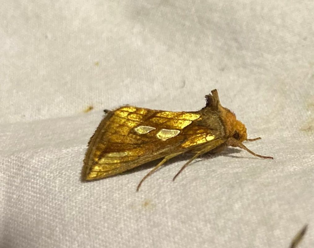 Hoe later op de avond, hoe schoner het volk | in berichten op HaarenEEN.nl