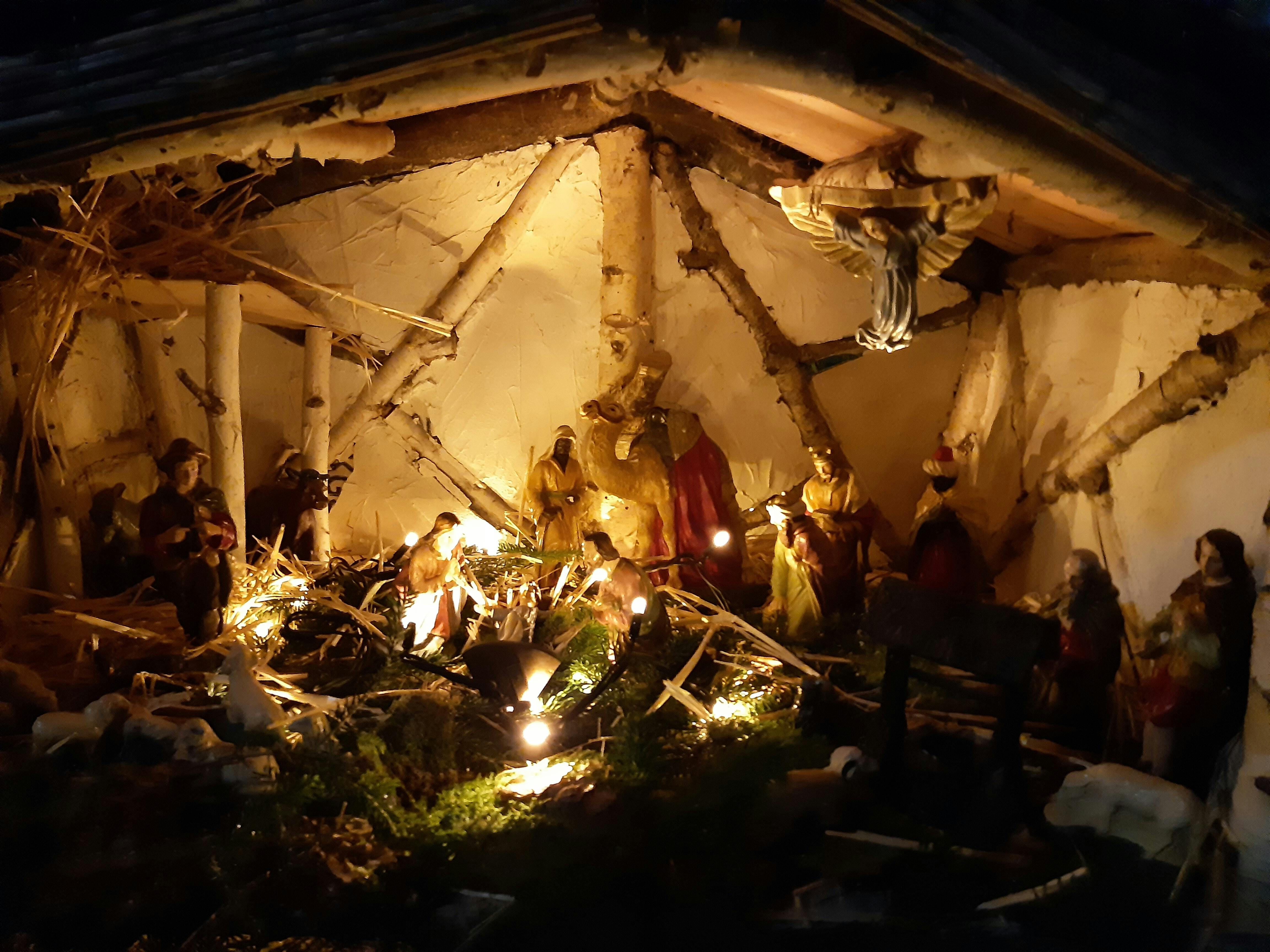 DE KRIBBE BIJ DE KERSTBOOM OP HET PLEIN in uitgelichte berichten op