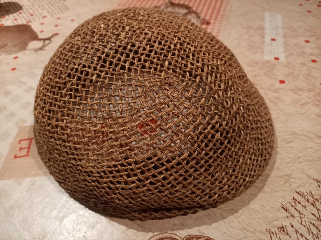 VERHAAL VAN DE SPAANSE ZEEGRAS PET in berichten op SamenBoxmeer.nl