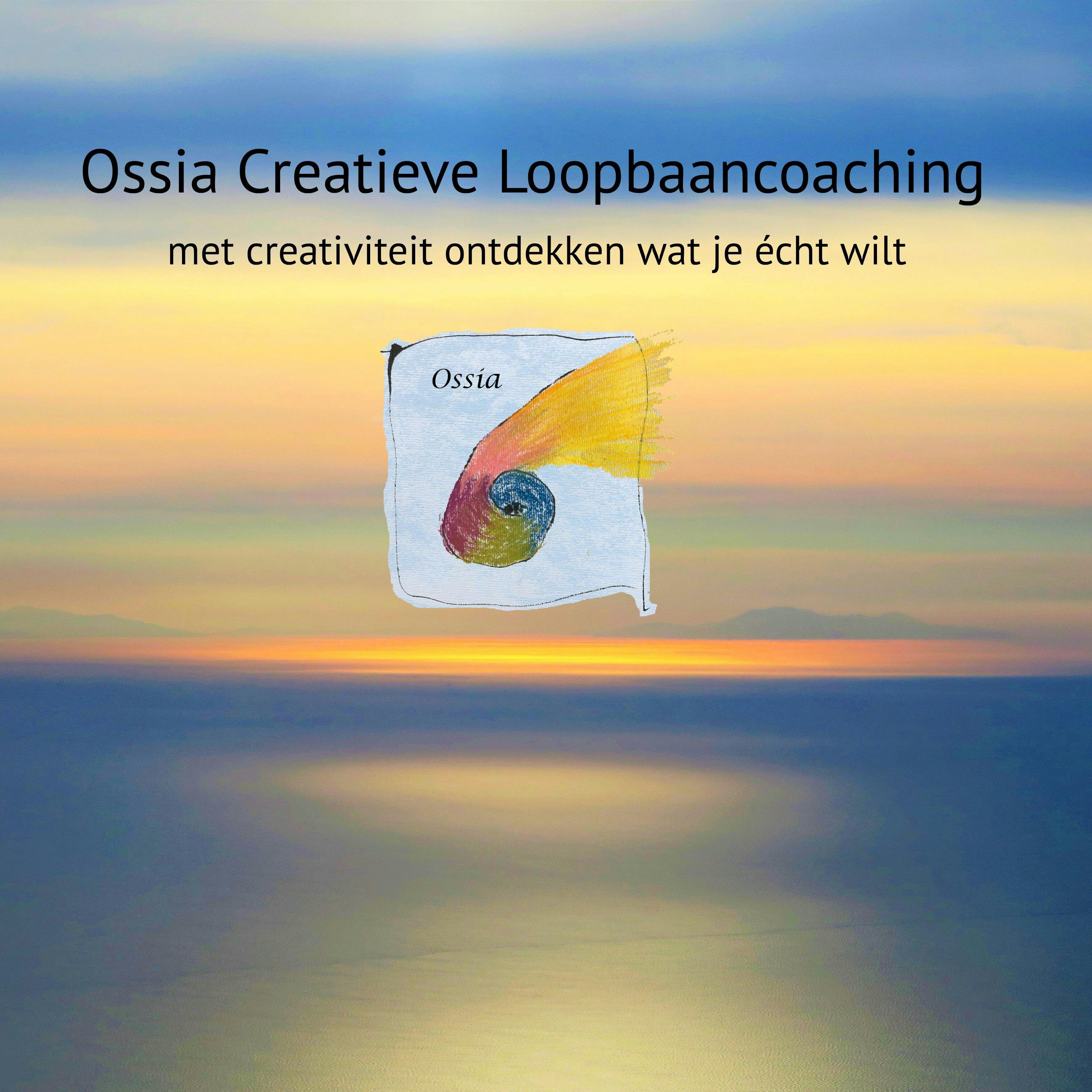 Creatieve Loopbaancoaching Op OnsOverbetuwe.nl