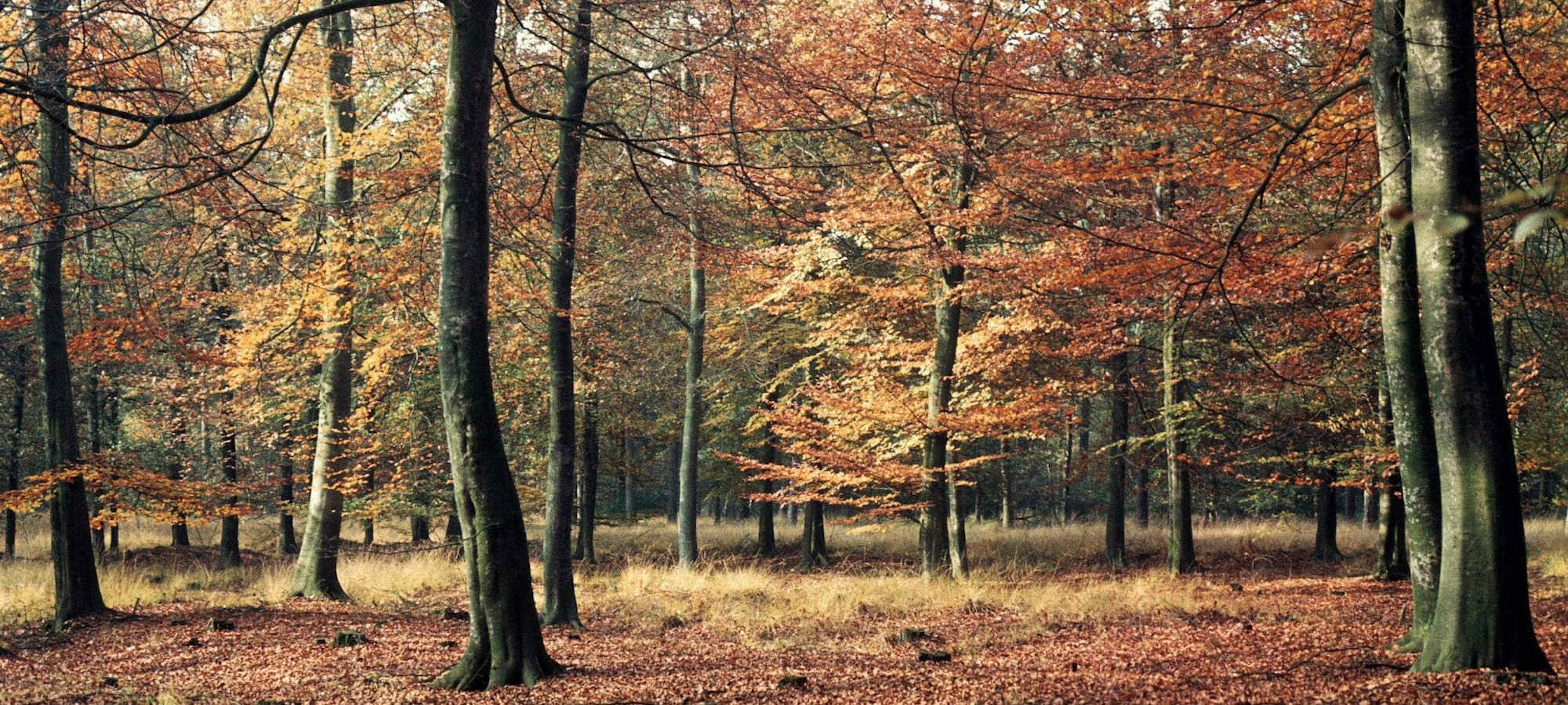 Het platform voor Hooge Mierde, Lage Mierde, Hulsel en Reusel