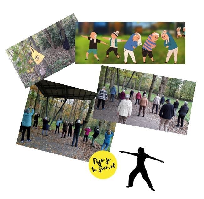 Tai Chi/Qigong ontspannen bewegen in Oostvoorne