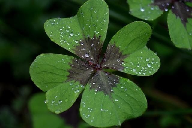 Een gewaarschuwd mens…..