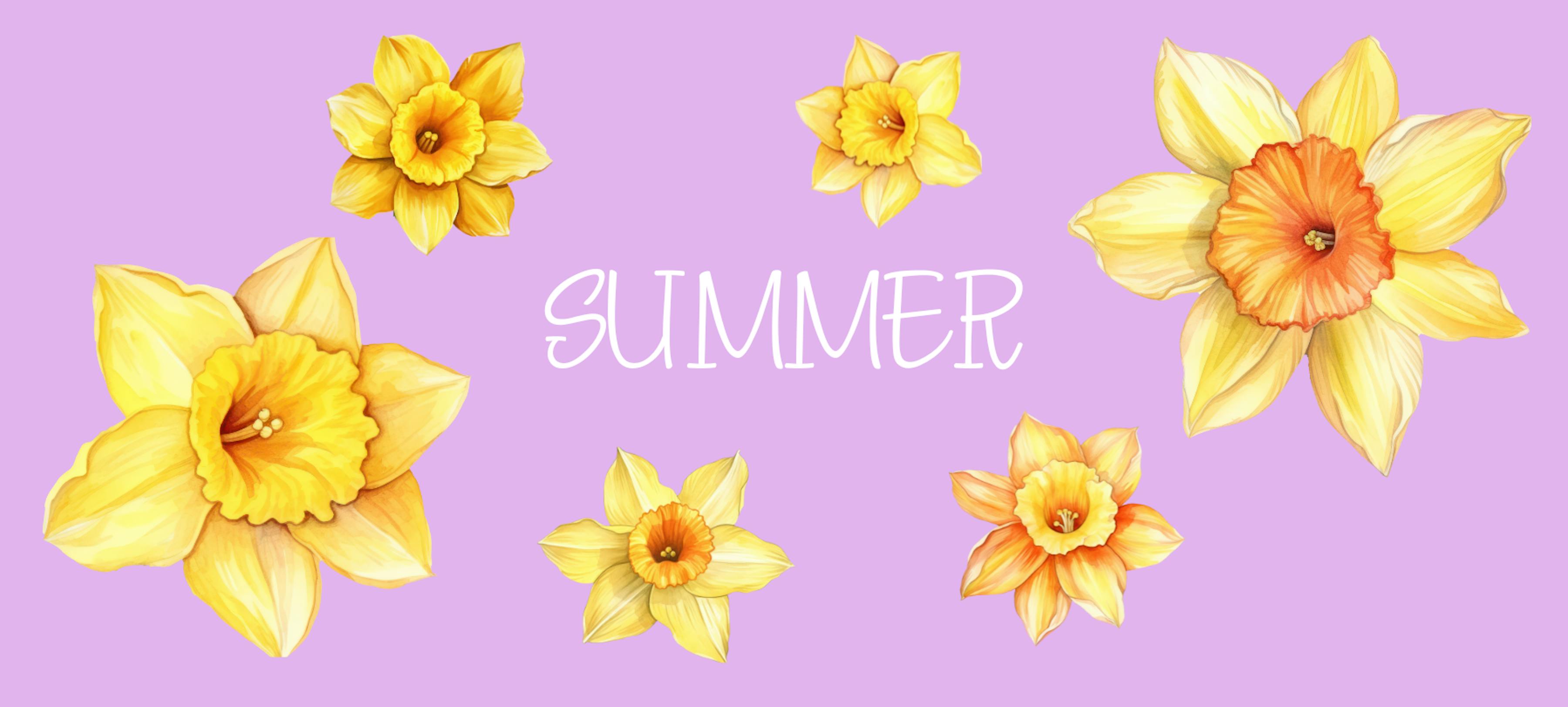 ☀ We wensen jullie een mooie zomer ☀