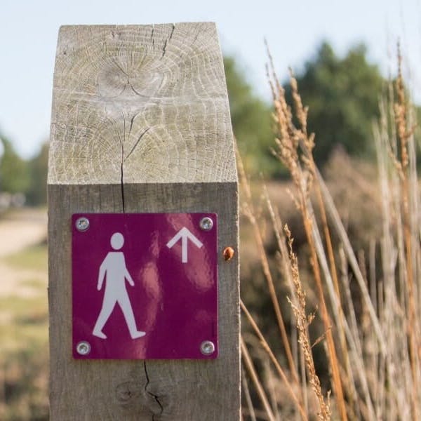 Wandelen met Duvaria Duursport Vereniging