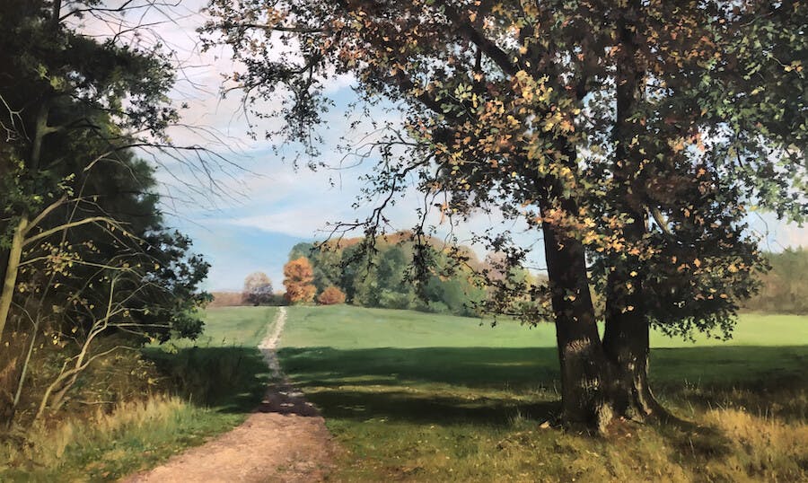 Door bos en veld: stap zo de natuur in tijdens de expositie van René Joosten in Persingen