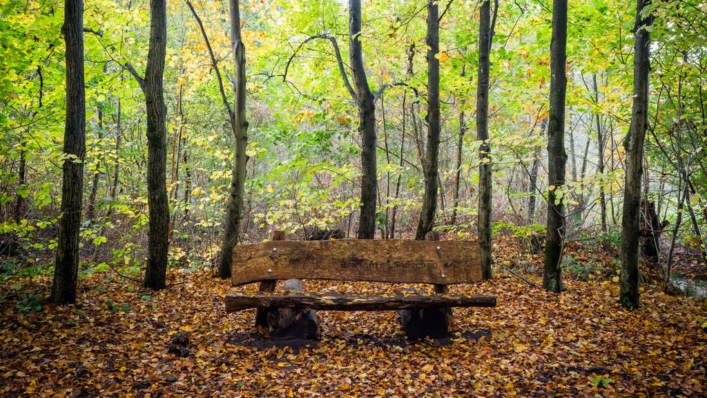 Fotoclub Kiekus zoekt jouw foto!