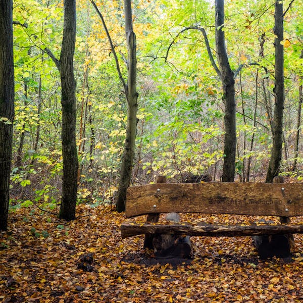 Fotoclub Kiekus zoekt jouw foto!