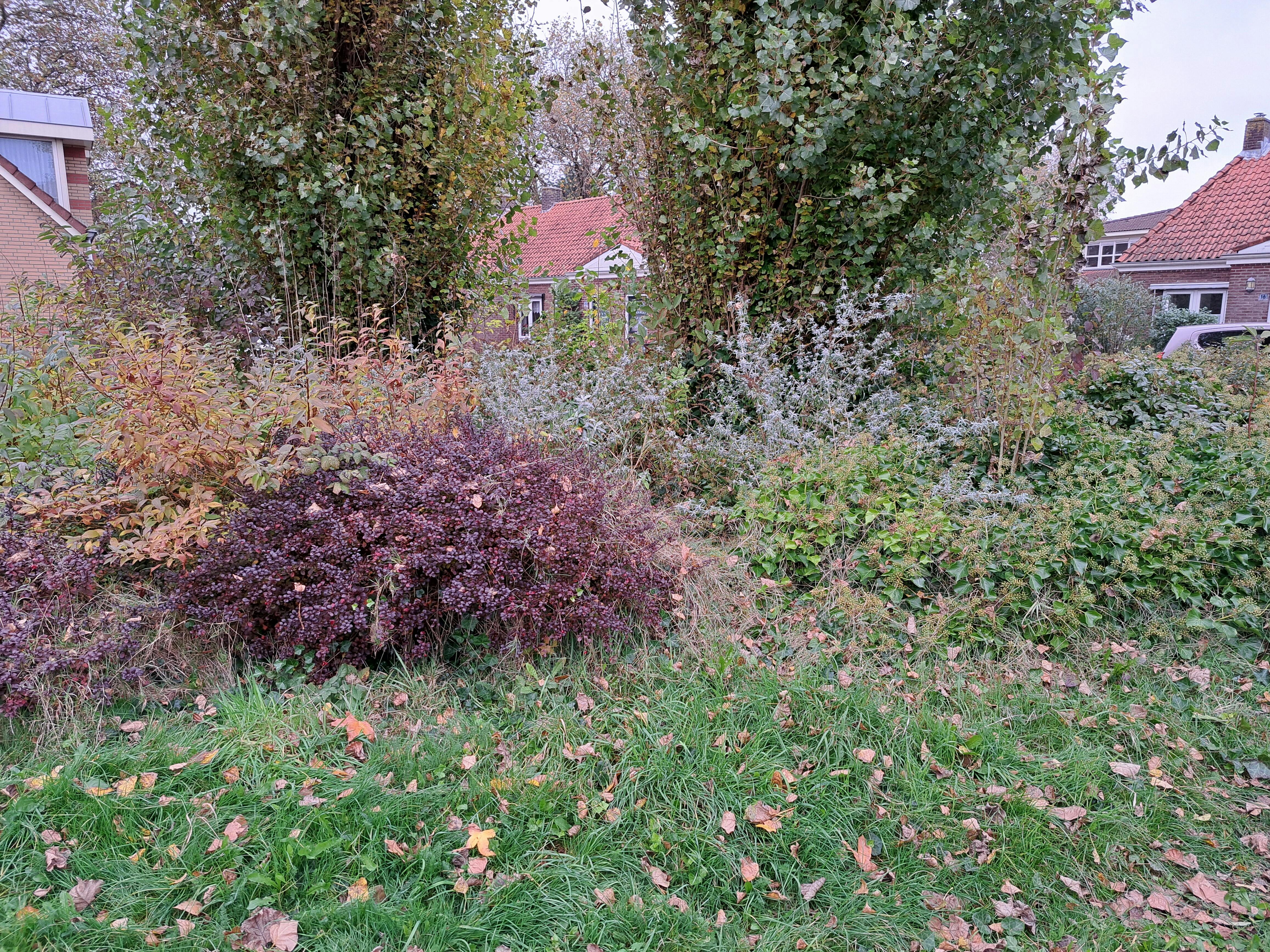aanzicht en toekomst Agnes Plantsoen