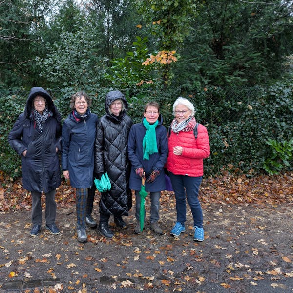 Wandelen in Groenewoud