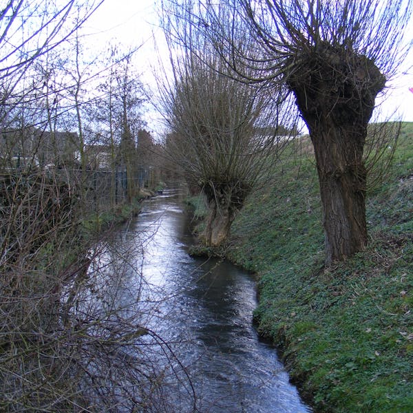 Ontdek Gulpen tijdens de maandelijkse Midweekwandeltocht