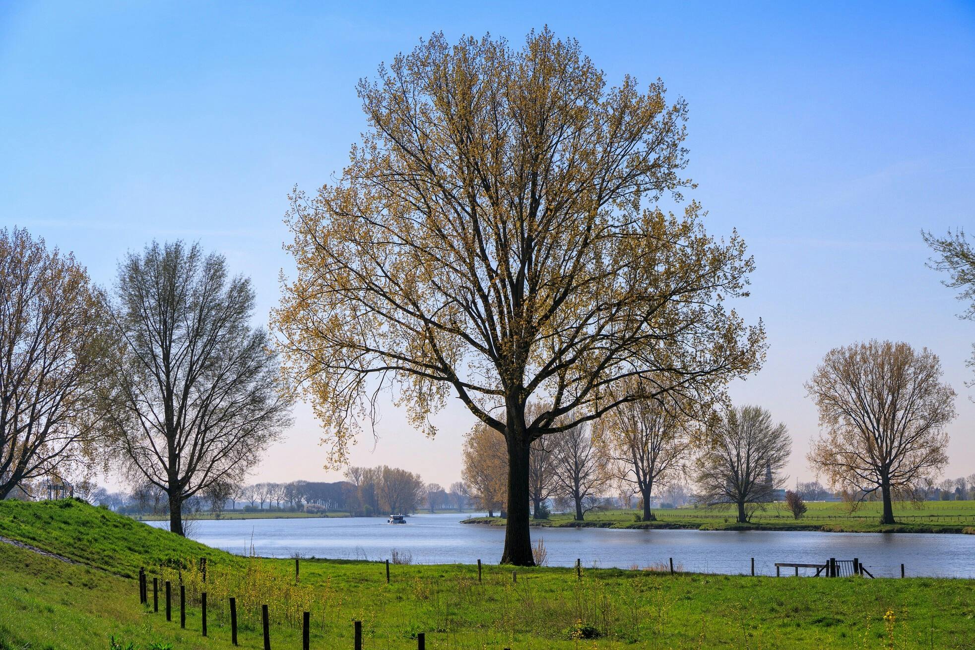 Betrokkenheid bij mogelijke gebiedsontwikkeling Maasdal