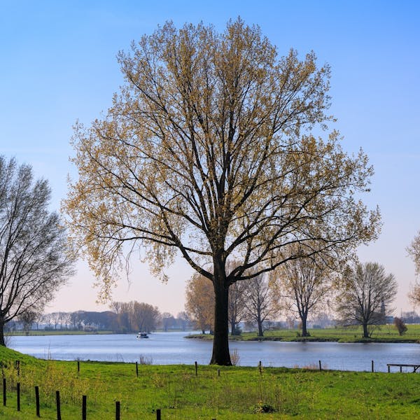 Betrokkenheid bij mogelijke gebiedsontwikkeling Maasdal