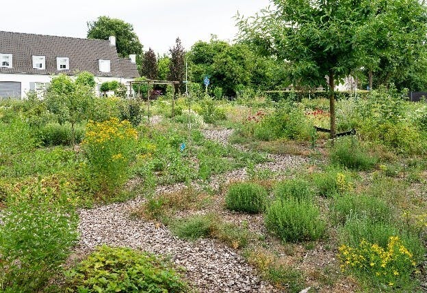 Versterk ons Plukbos in Best