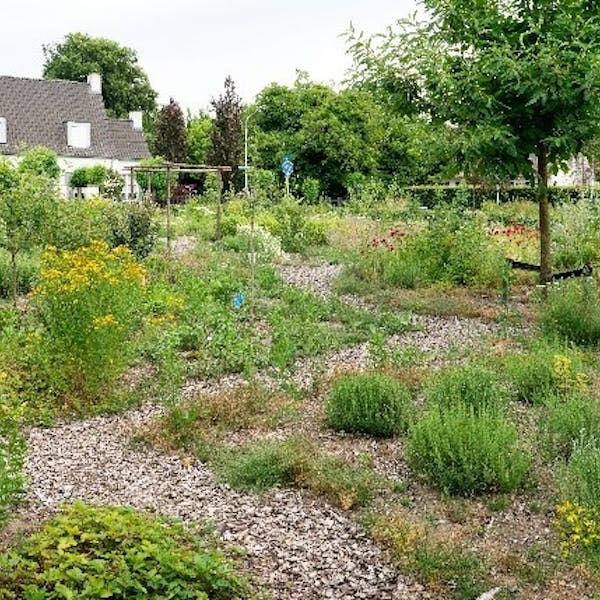 Versterk ons Plukbos in Best