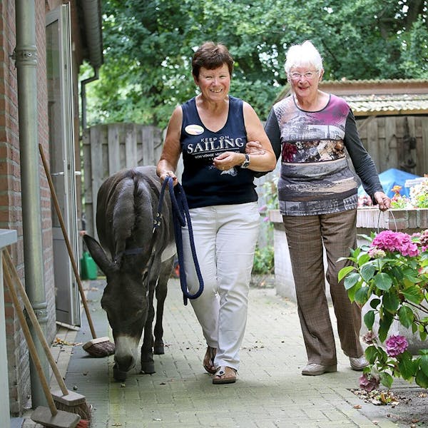 Kom jij helpen op onze activiteitenboerderij?