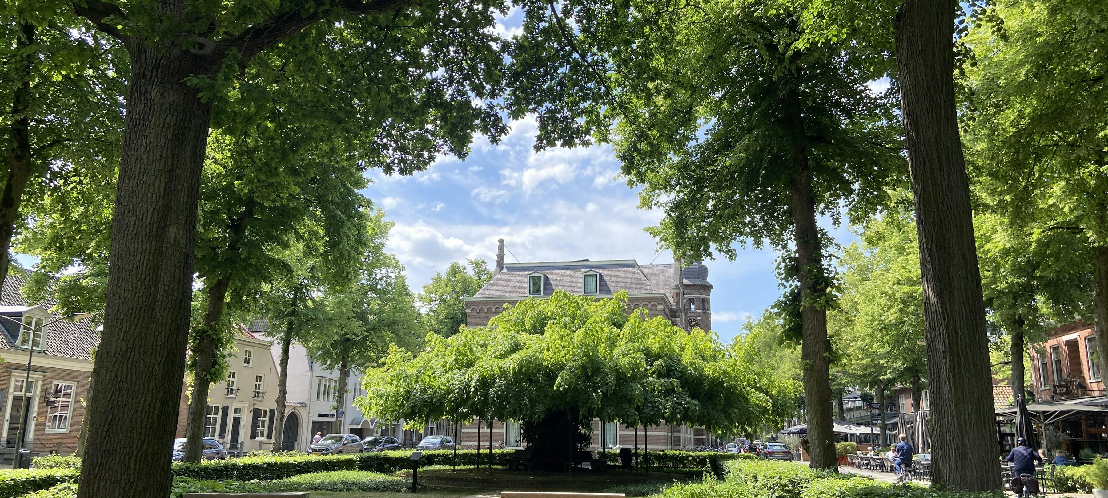 Allemaal Oisterwijk: Samen voor elkaar