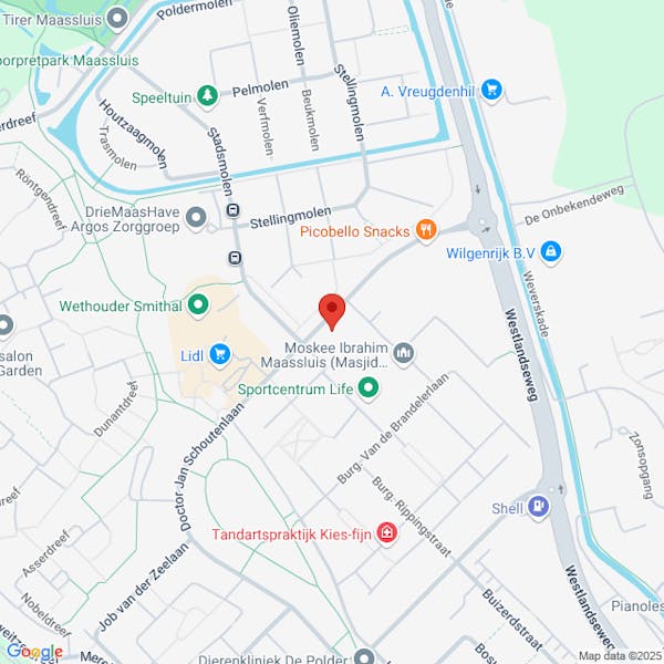 Verkeersbesluit voor het aanwijzen van een gehandicaptenparkeerplaats op kenteken ter hoogte van Burgemeester Wesselinkstraat 50 te Maassluis