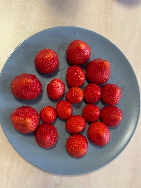 Geniet van een warme dag bij het Odensehuis Gorinchem