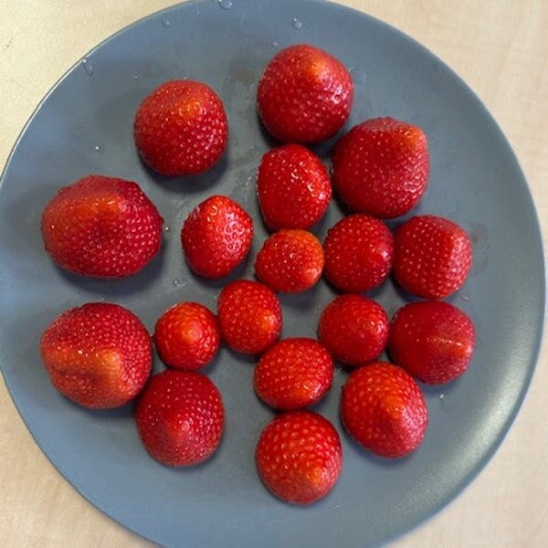 Geniet van een warme dag bij het Odensehuis Gorinchem