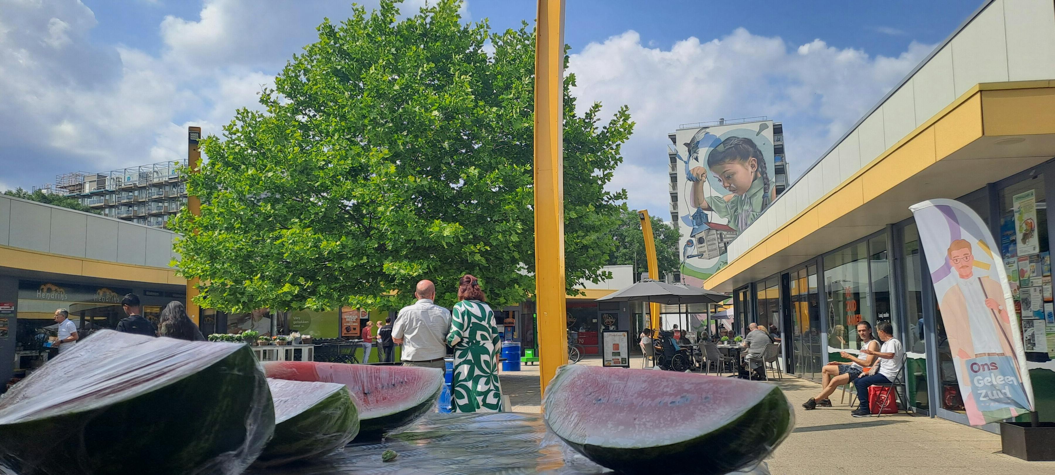 Het zonnetje in Zuidhof