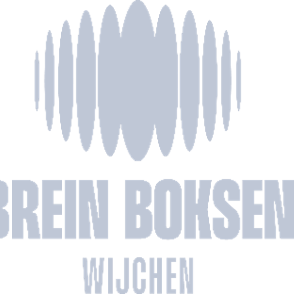 Brein boksen: Bewegen voor een betrouwbaar brein!