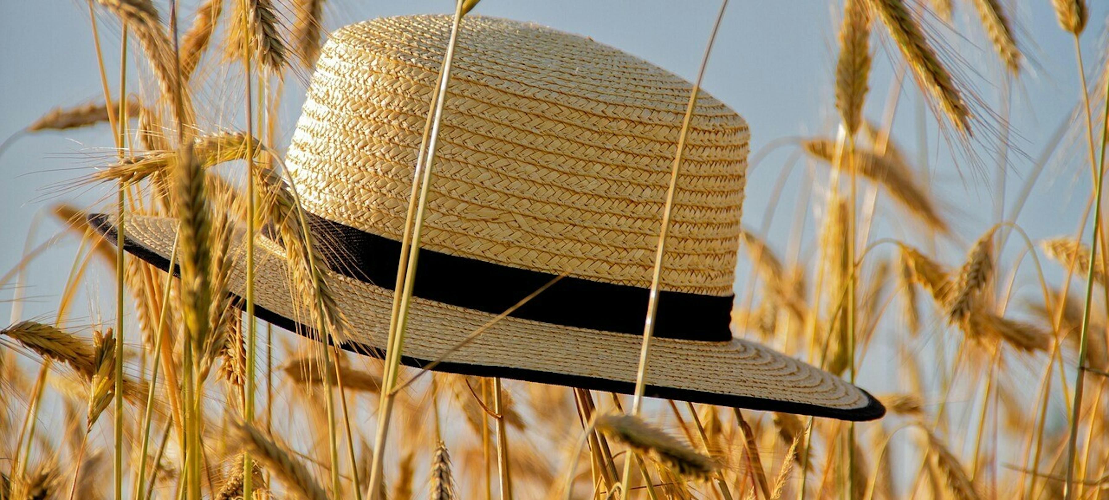 Wenst u allen een fijne zomer!