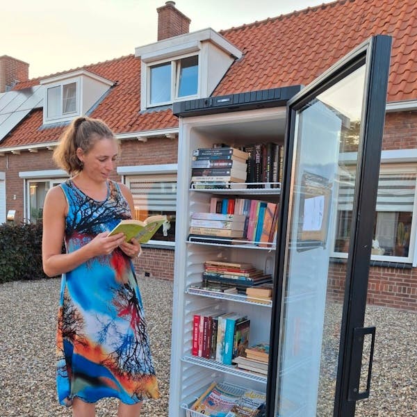 Minibieb aan de A. Van Drielstraat in Aalst
