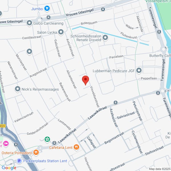 Toestemming voor het nieuw bouwen van een woning en inrit op Visveldsestraat 3, 6663 KK Lent, zaaknummer AB24.02005