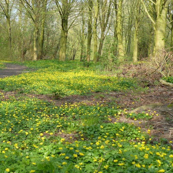 Inventarisatie in het Ecoproject