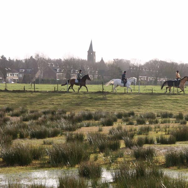 Steun vereniging Bos en Kuil