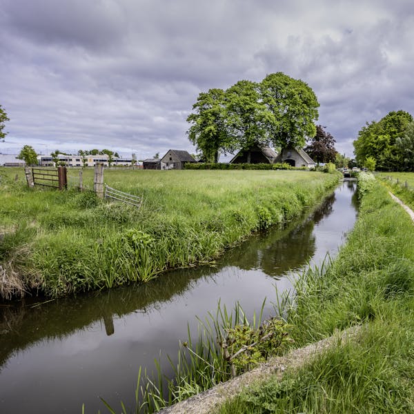 Wandel mee op elke eerste en derde woensdagmorgen van de maand.
