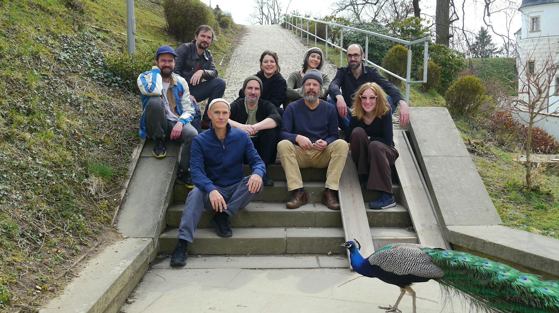 Spinifex MaXXimus - 20 jaar Spinifex