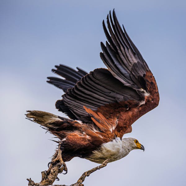 Inloop voor jonge mantelzorgers 12+ (op het voortgezet onderwijs)