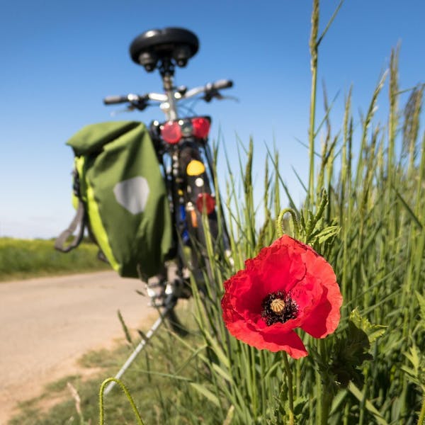 Fietstocht Zuilichem – zaterdag 30 augustus 2025 van 09:00 tot 17:00 uur