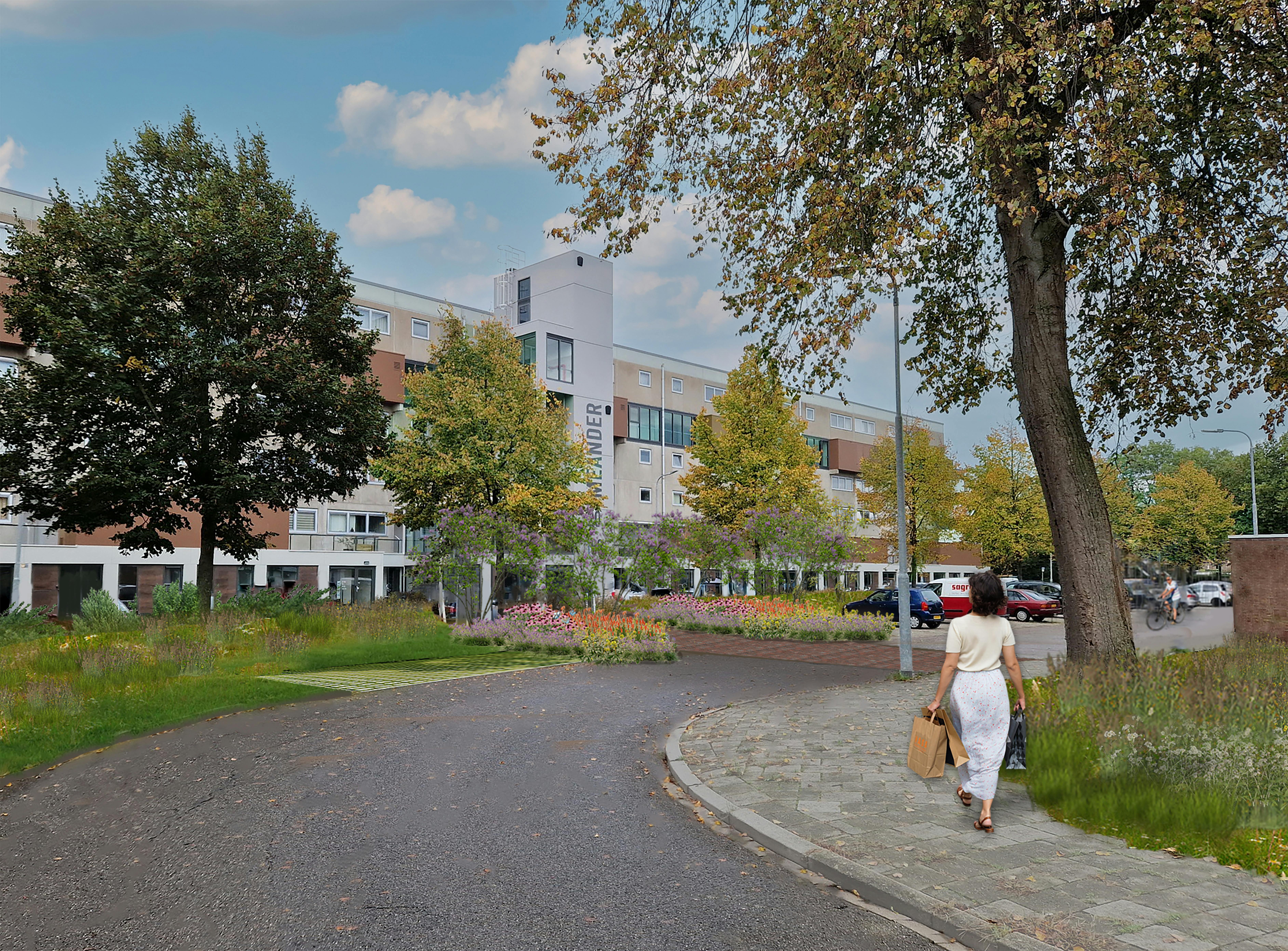 Herinrichting Meanderlaan