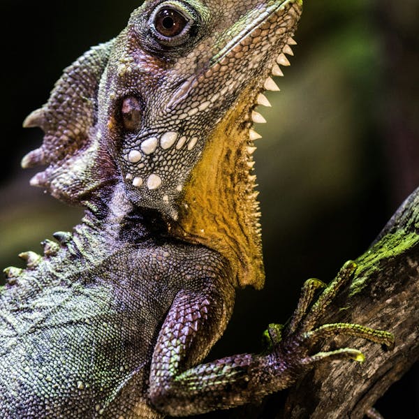 Inloop voor jonge mantelzorgers 12+ (op het voortgezet onderwijs)