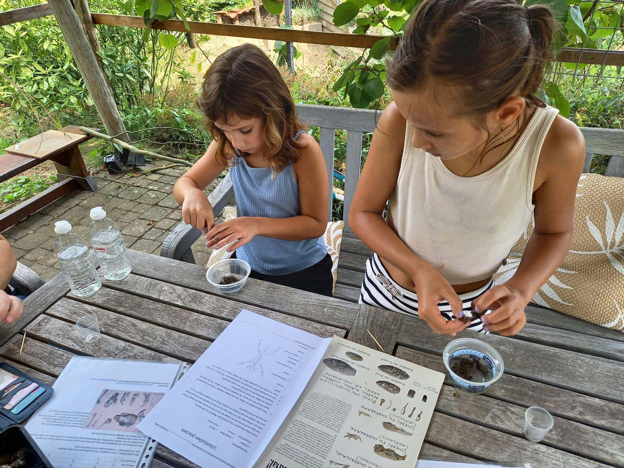 EDUCATIEVE WORKSHOPS UILEN EN WILGEN BIJ VERDELIET IN CUIJK.