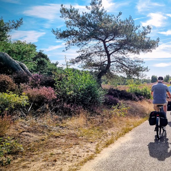 Hoe voorkom je gewrichtspijn en stijfheid in de herfst/winter.
