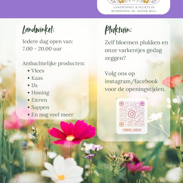 Timber Hoeve - Landwinkel & Pluktuin in Mill geopend!