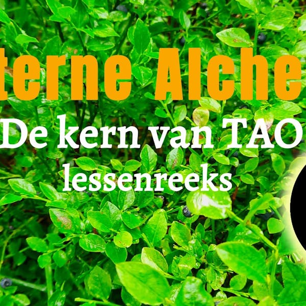 Innerlijke alchemie, de kern van TAO