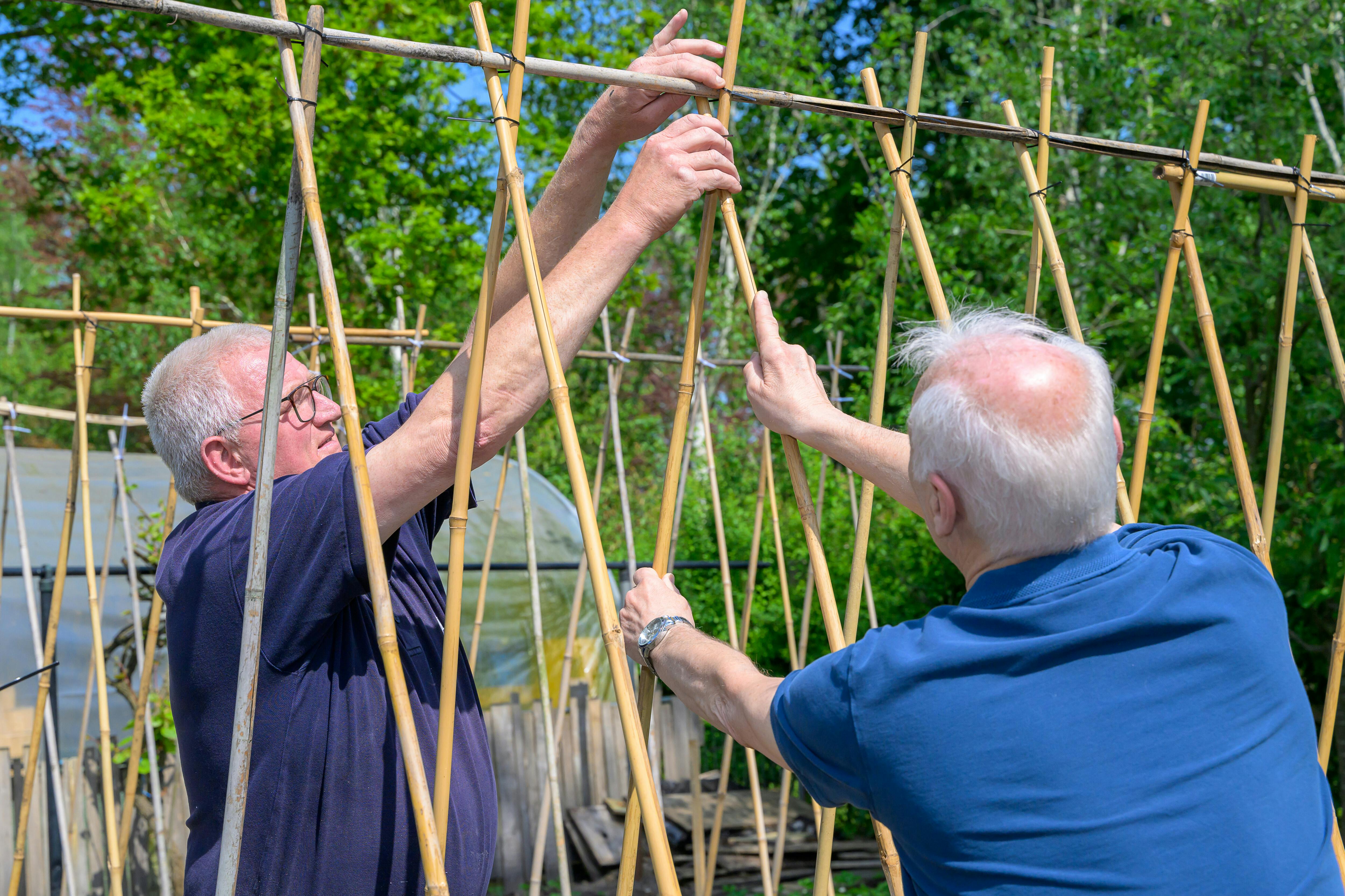 CampusVitaal zoekt vrijwilligers