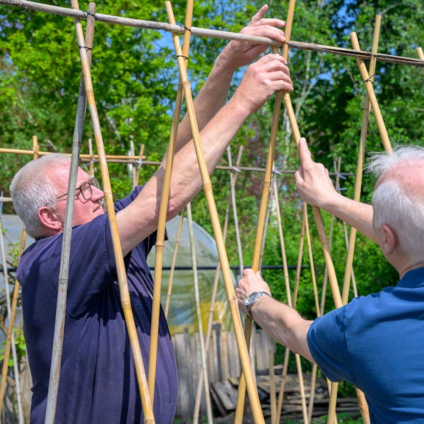 CampusVitaal zoekt vrijwilligers