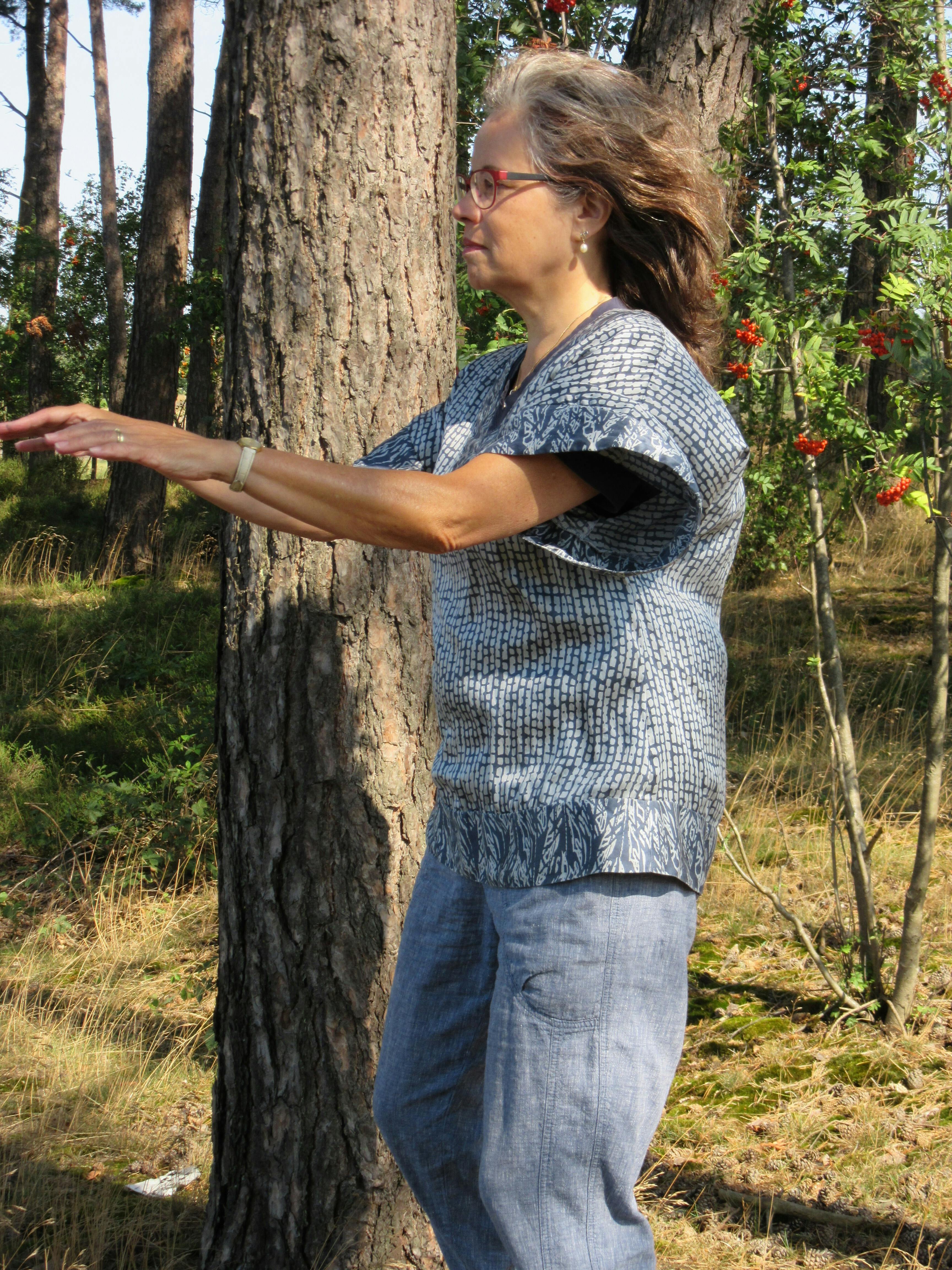 Chi-Kung bewustzijn in beweging, 