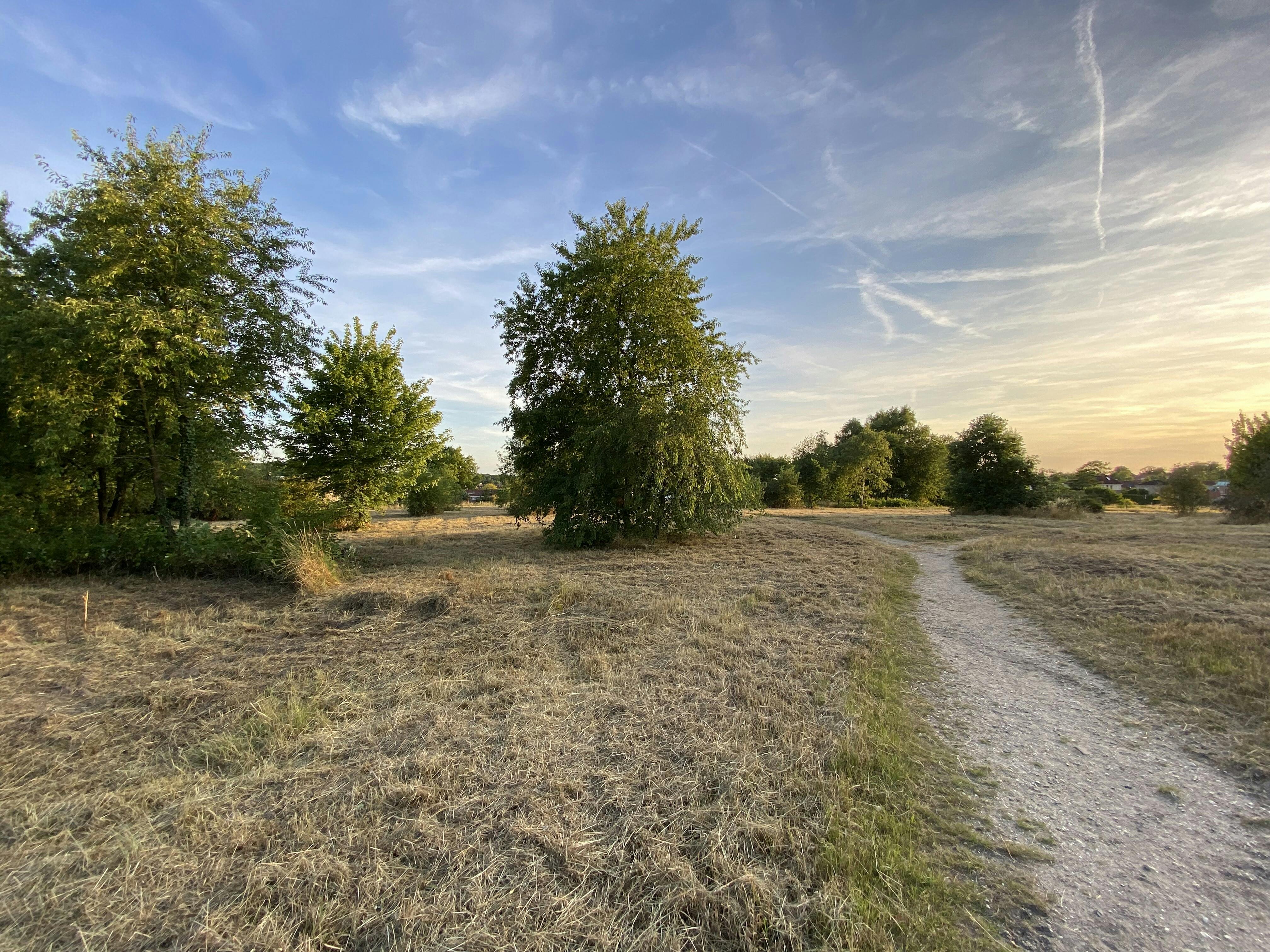 Nieuwe stichting waakt over het Kops Plateau: meer dan Romeinen alleen