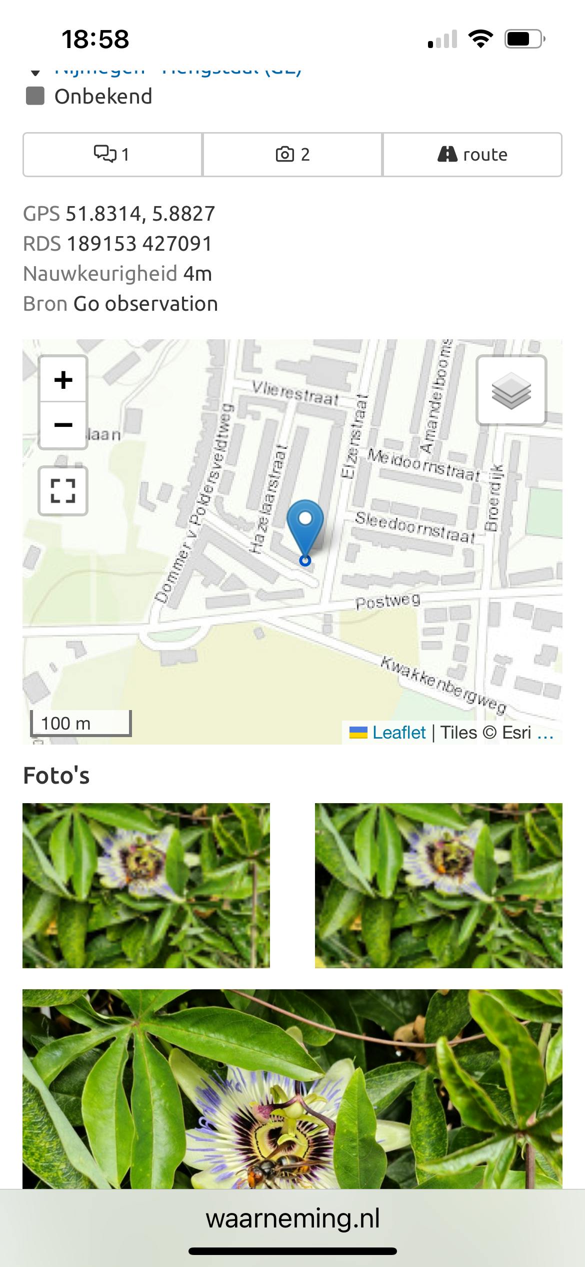 Help mee met het opsporen van Aziatische hoornaars