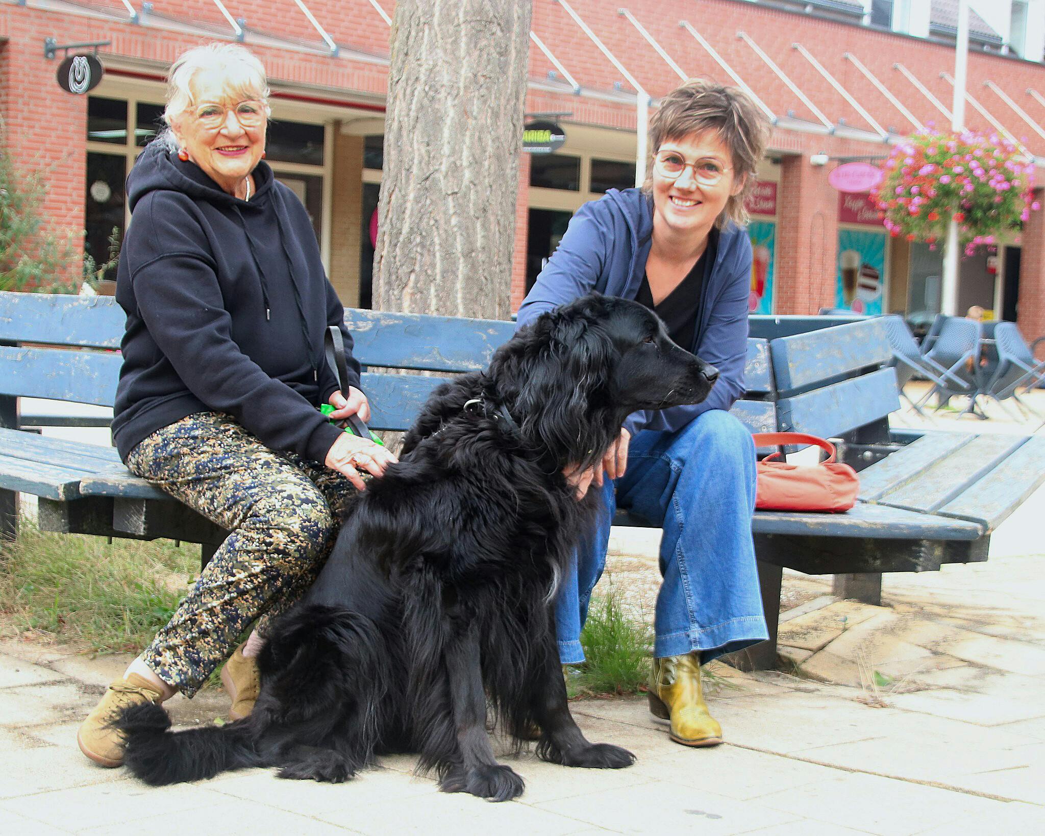 Hondgenoten gezocht!